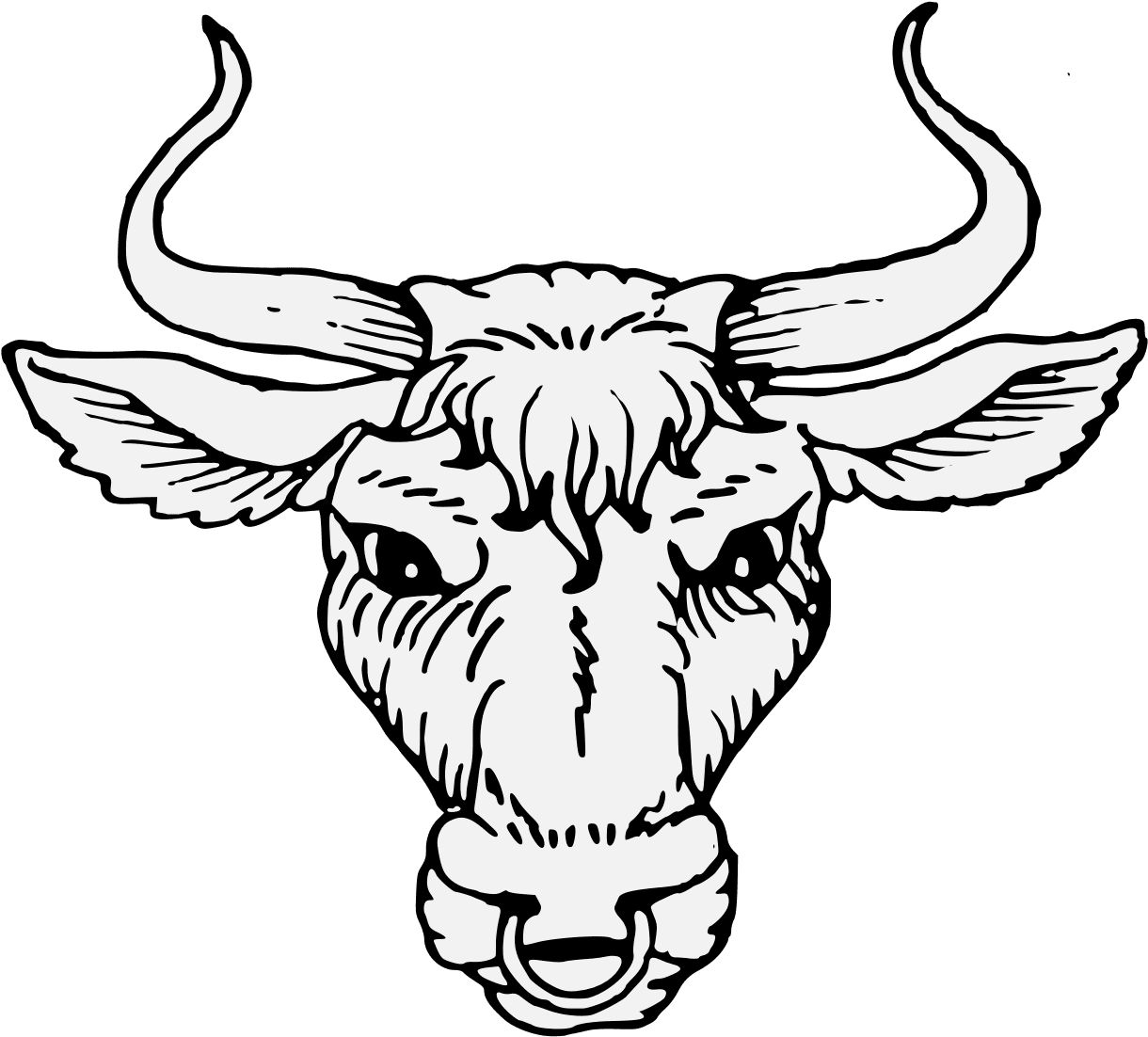 Bull images clipart