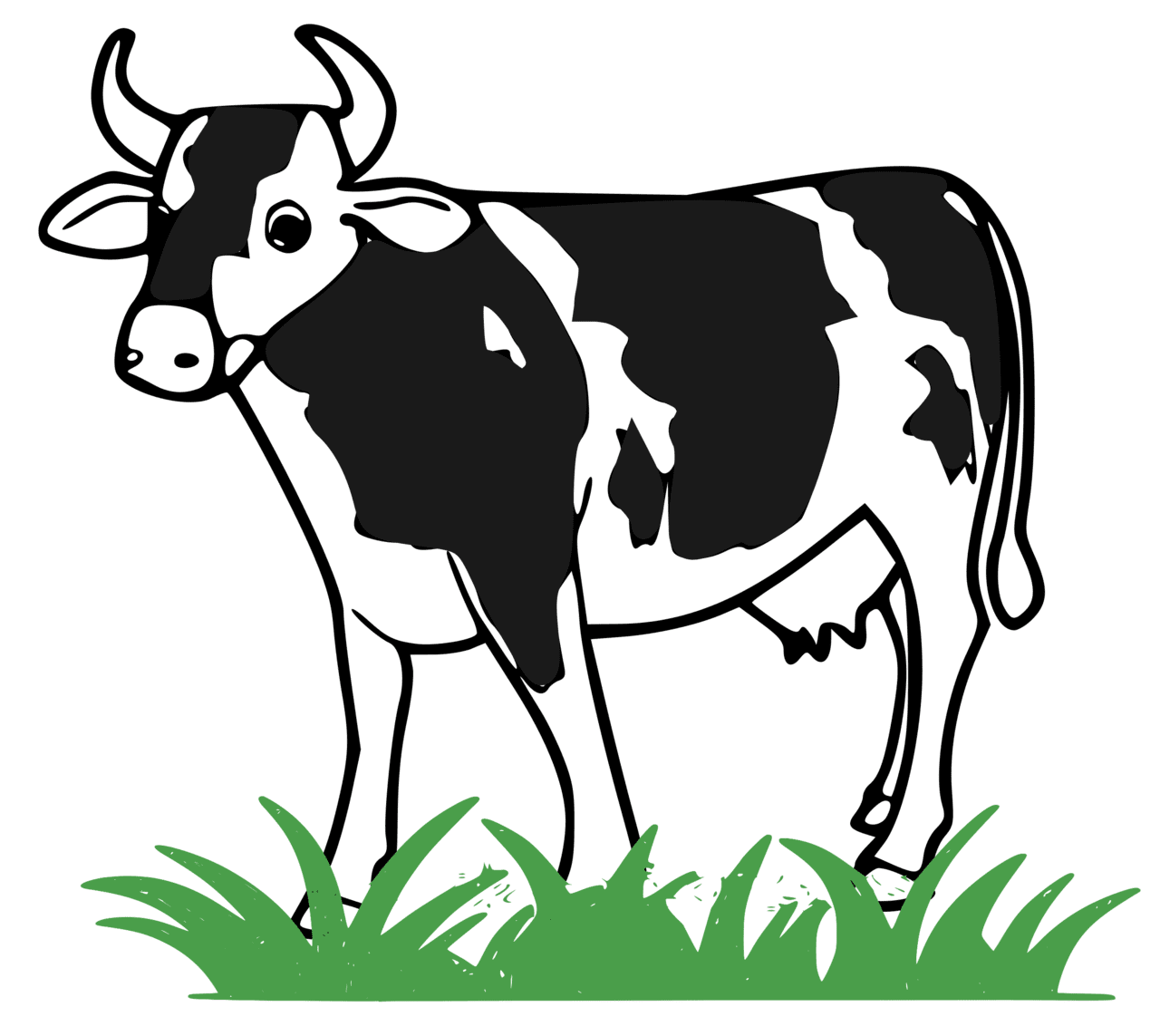 Cow black and white spotted moocow vector clipart image photo cc images