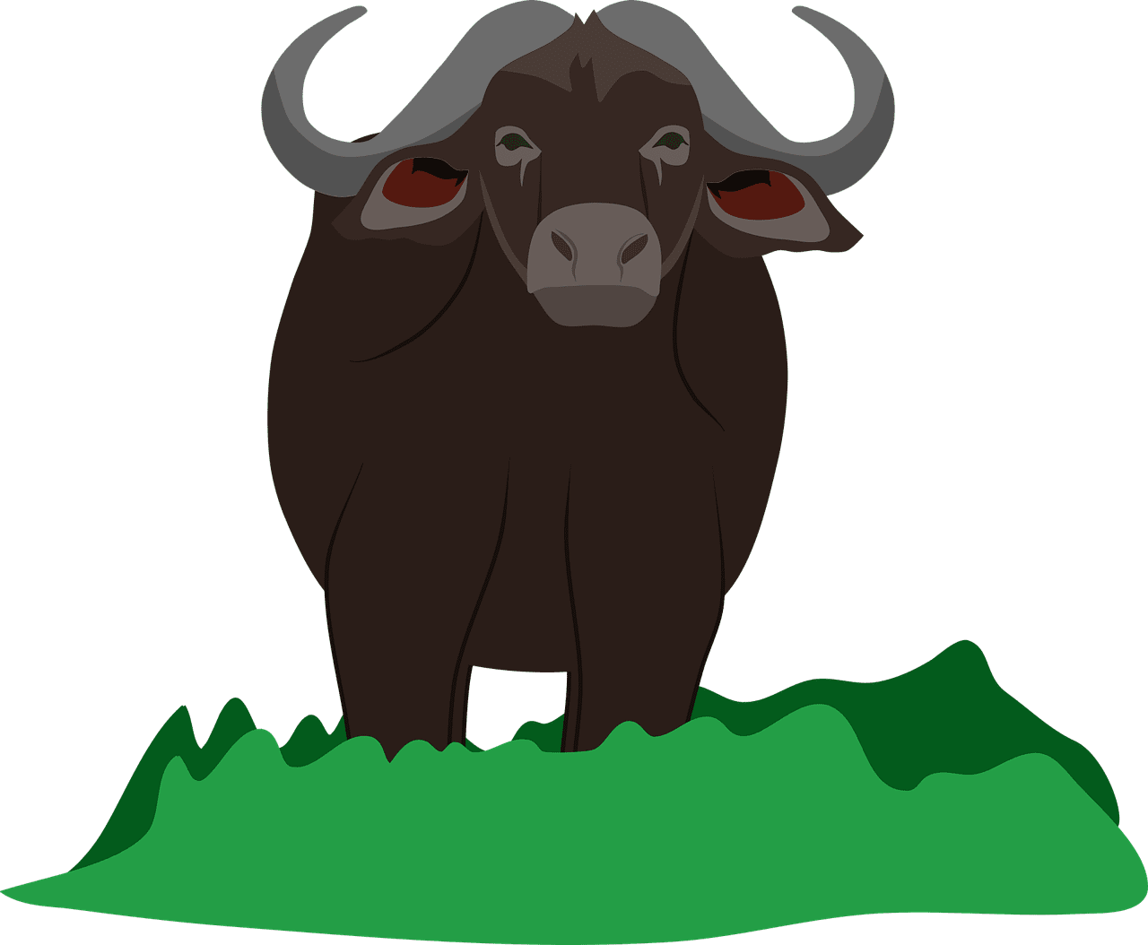 African buffalo africa vector graphic clipart