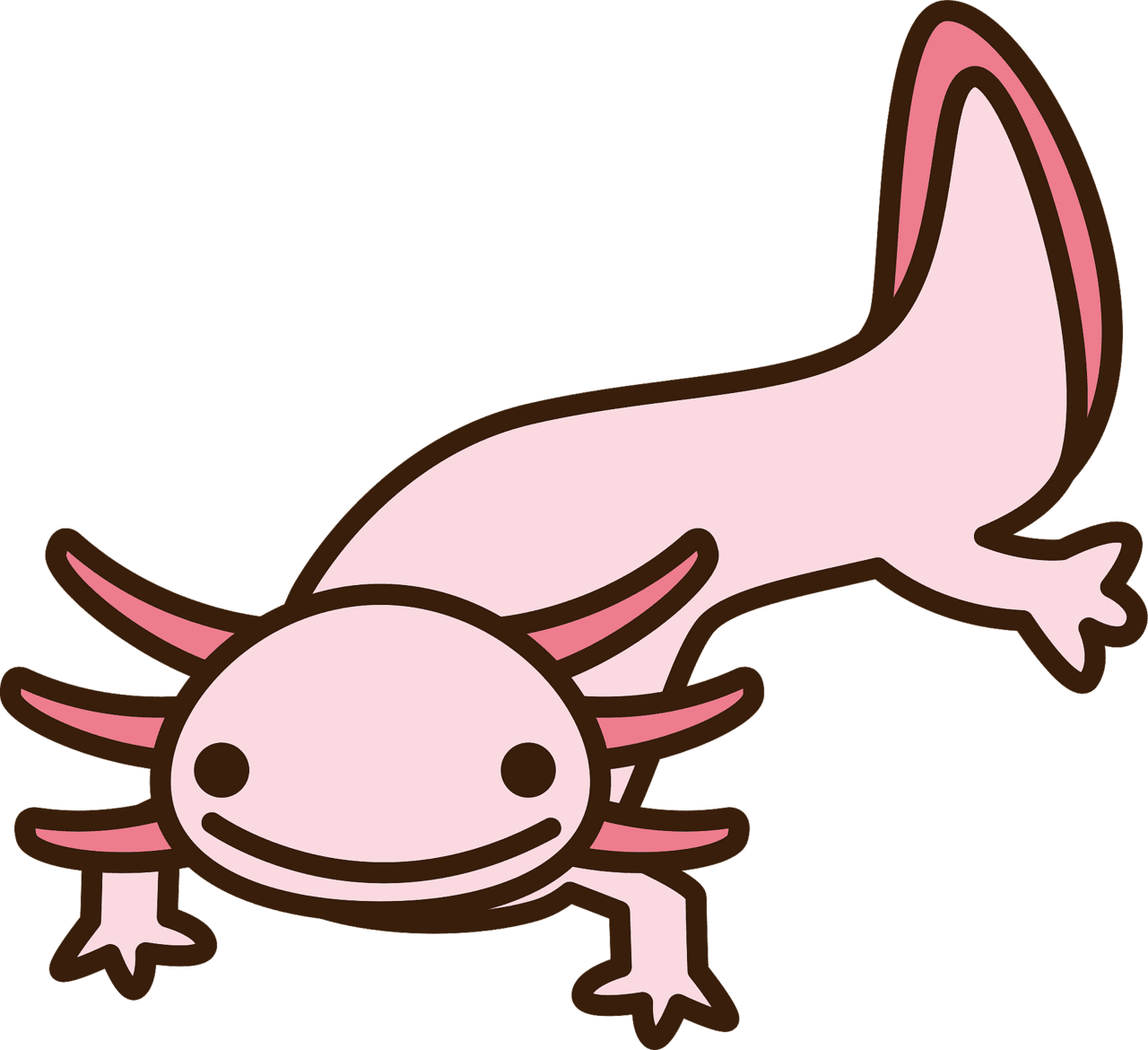 Axolotl clipart images