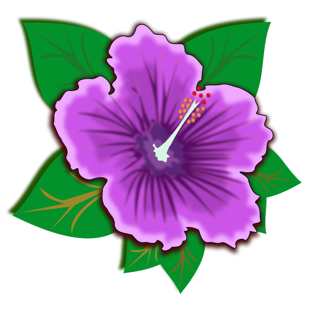 Purple hawaiian hibiscus flower vector clipart images