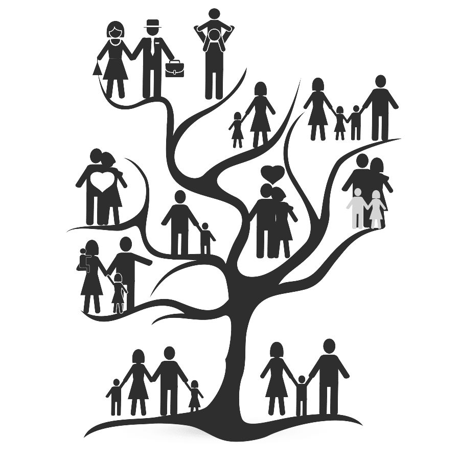 Family tree section intro the reunited states clipart transparent