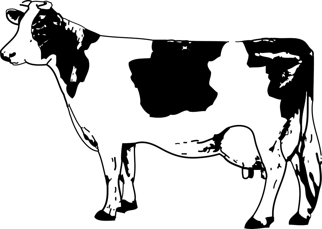 Cow black and white vector clipart images 6