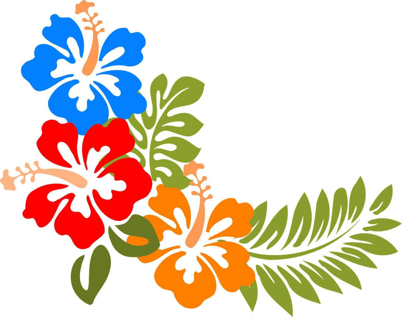 Hawaiian flower hibiscus hawaii flowers vector graphic clipart