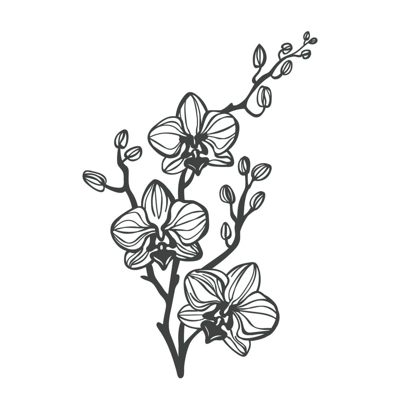 Flower outline pin page clipart photo 6