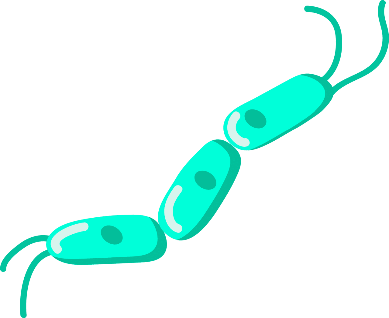 Bacteria vector clipart images 7