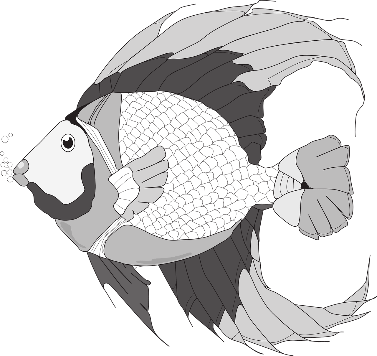 Black white fish and vector graphic clipart