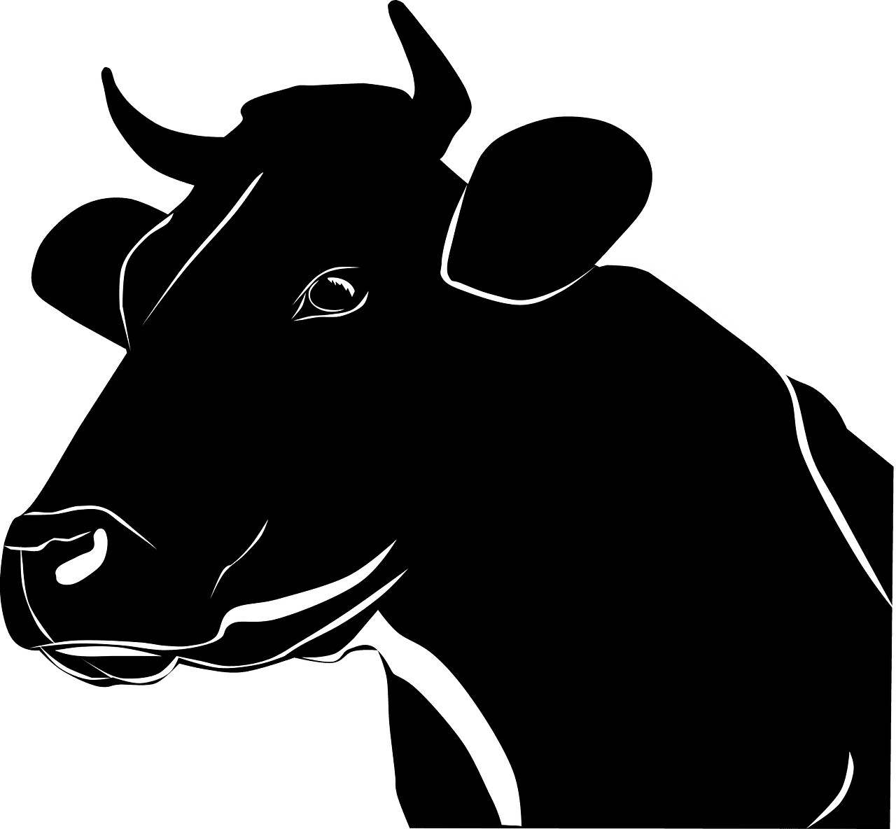 Cow black and white vector clipart images 2