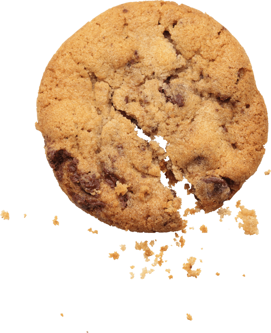 Chocolate chip cookie image size clipart 3