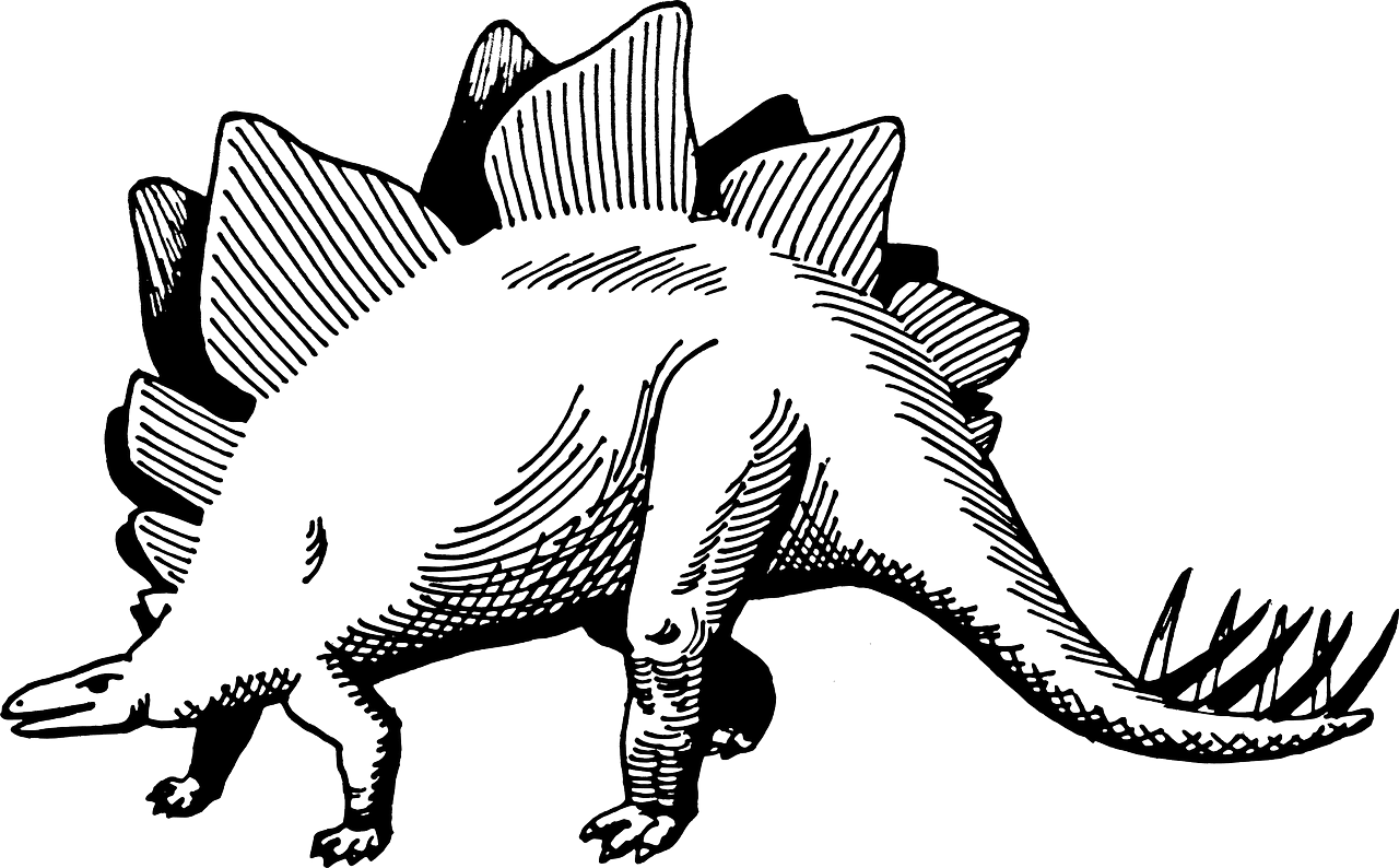 Dinosaur black and white stegosaurus dino vector graphic clipart