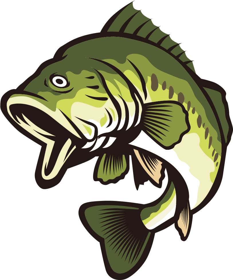 Largemouth bass clipart free