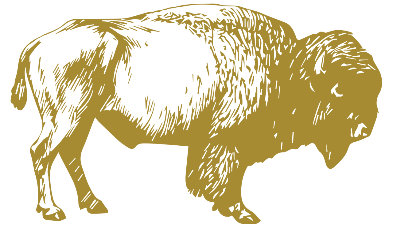 About buffalo bills entertainment plex clipart clip art