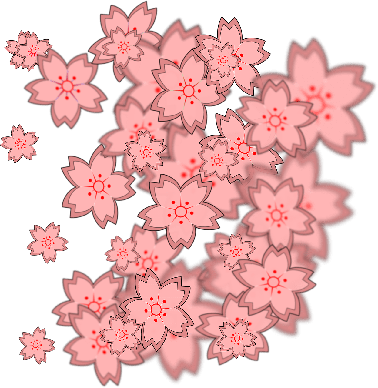 Cherry flower blossom nature vector graphic clipart