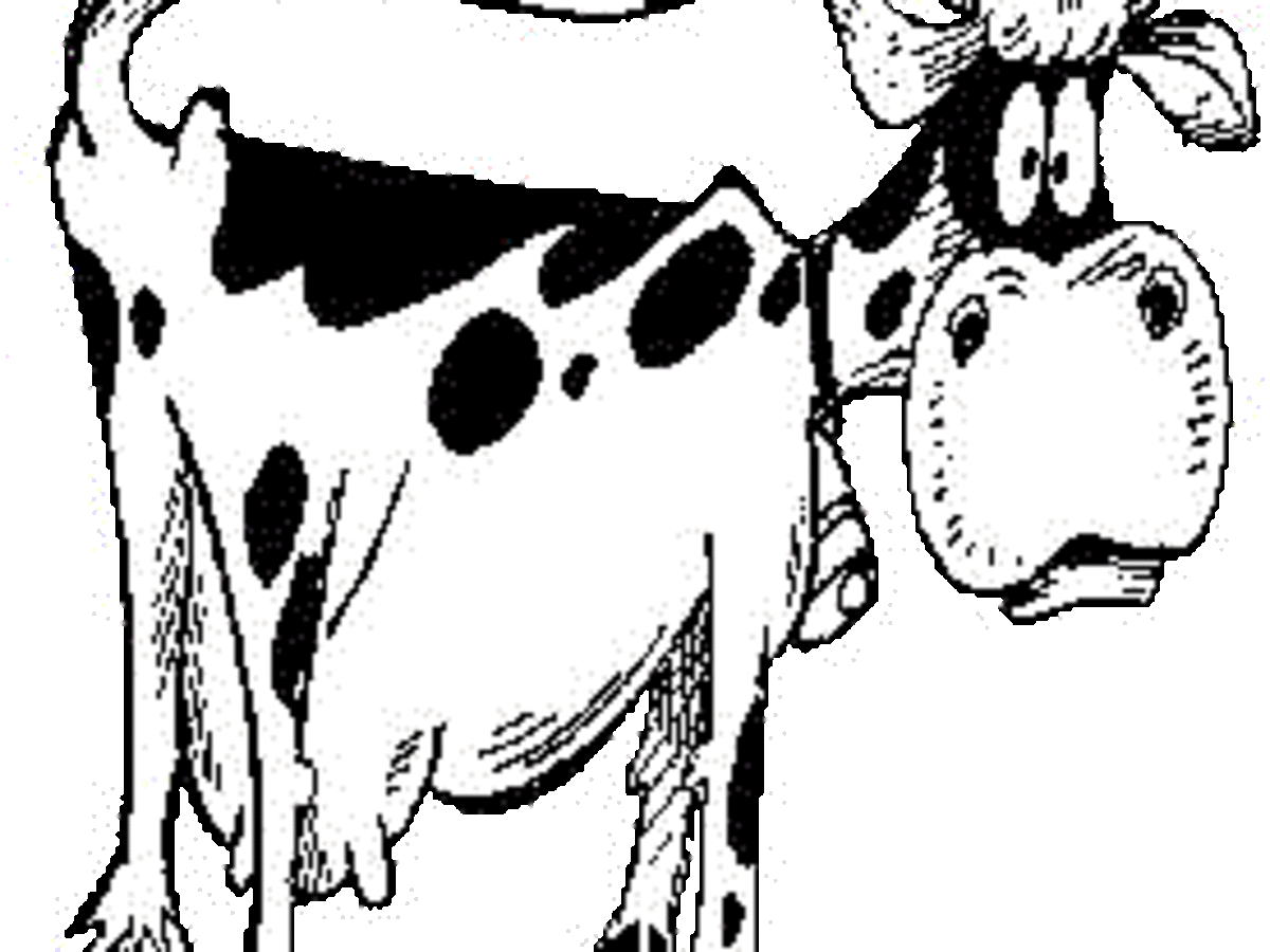 Cow black and white facts trivia clipart clip art