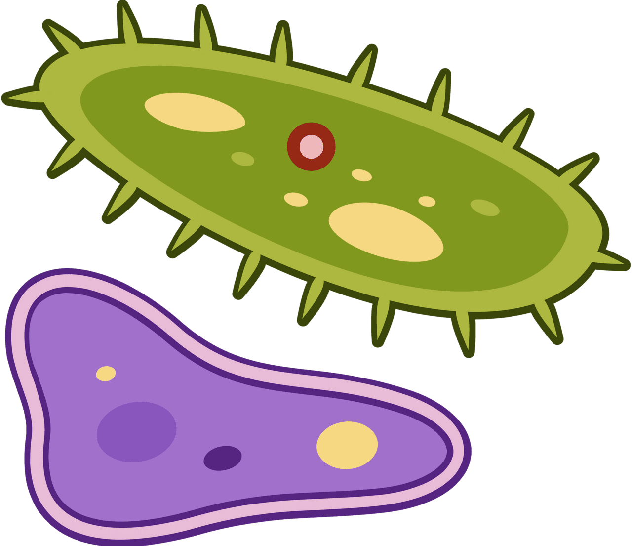 Bacteria vector clipart images 2