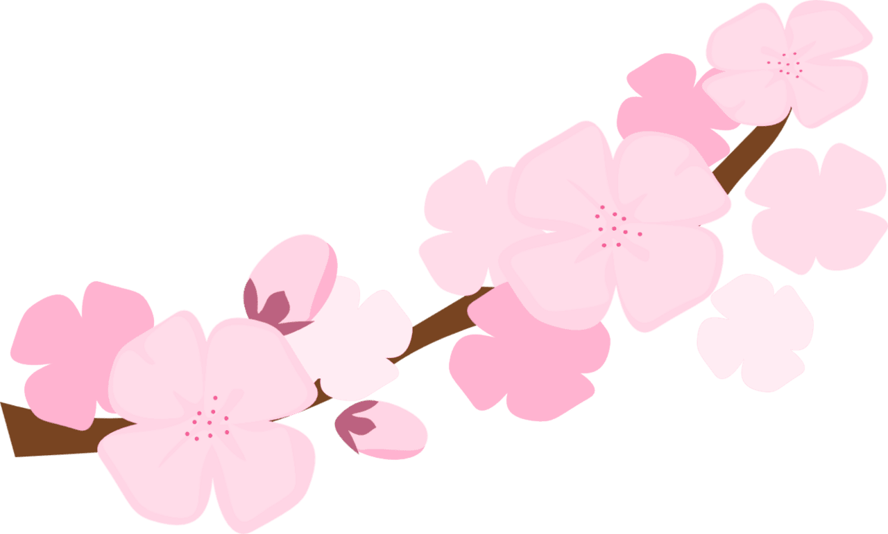 Cherry flower blossom clipart image