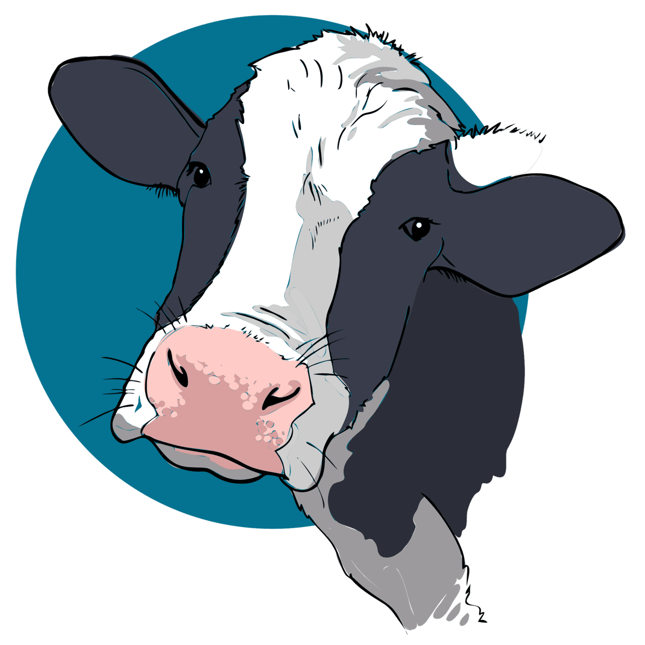 Cow black and white pin page clipart photo 2