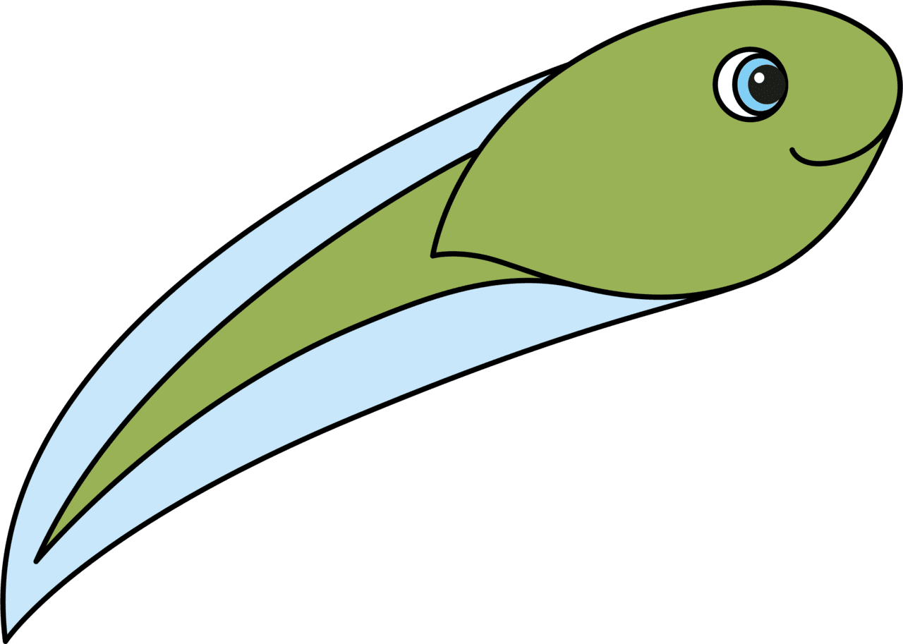 Froglet tadpole clipart images