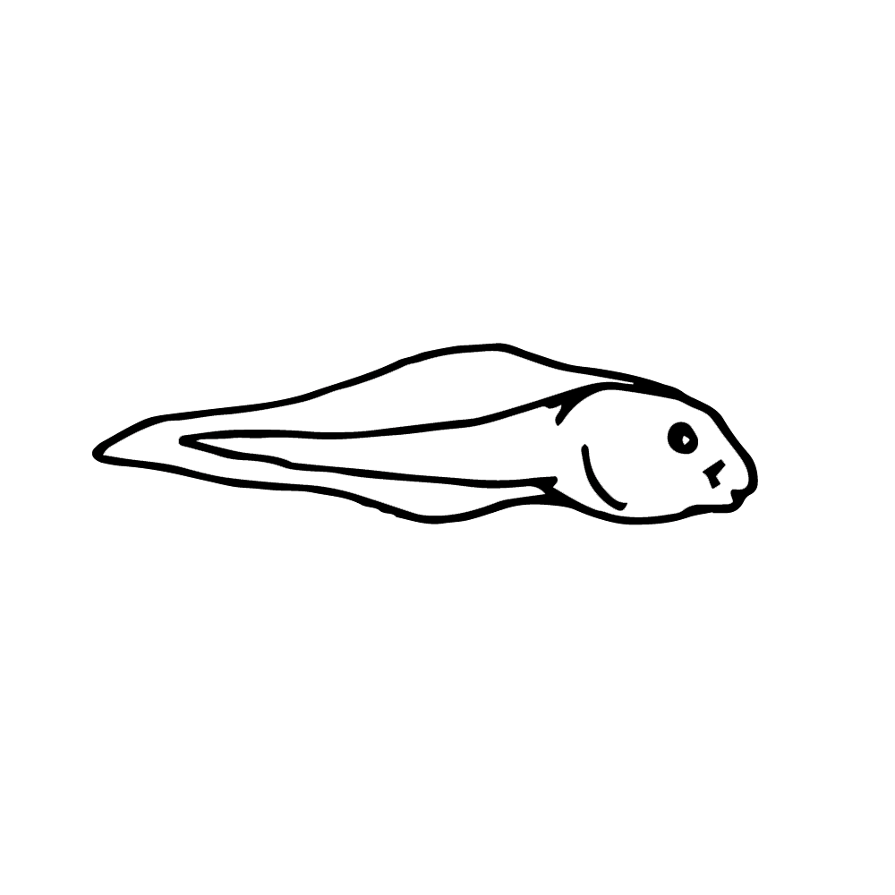 Black white fish pin page clipart free 2