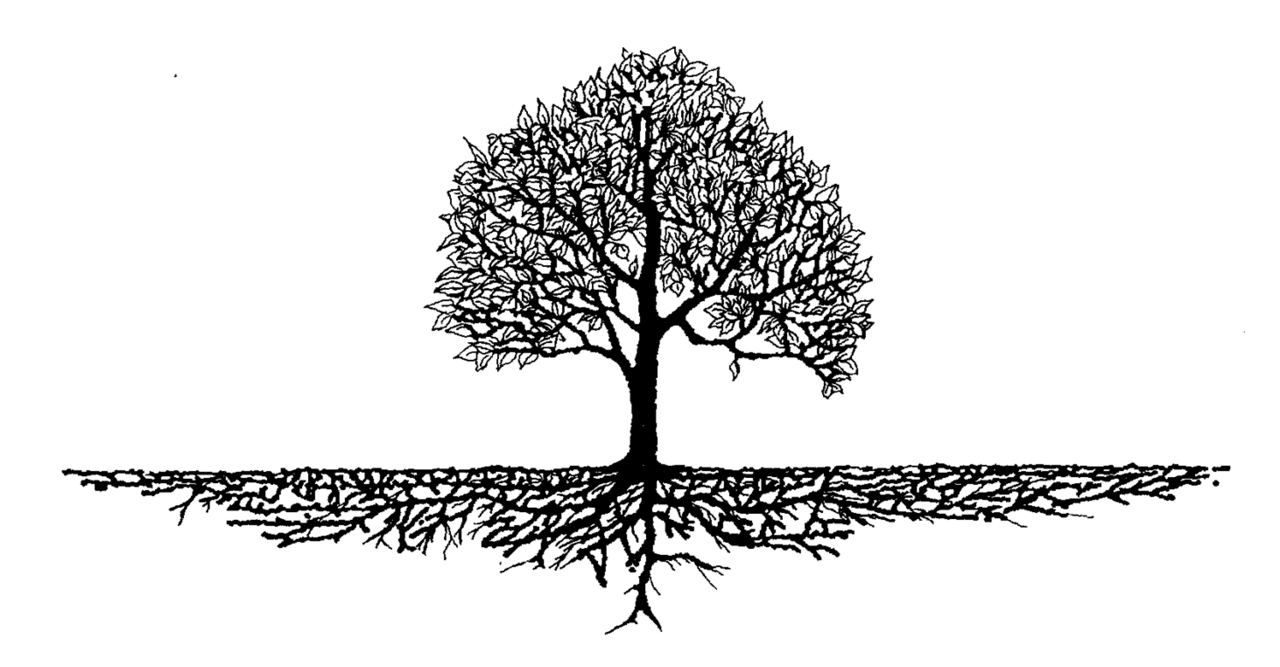 Family tree using social media ancestrydna gedmatch to advance research cumbo site clipart background