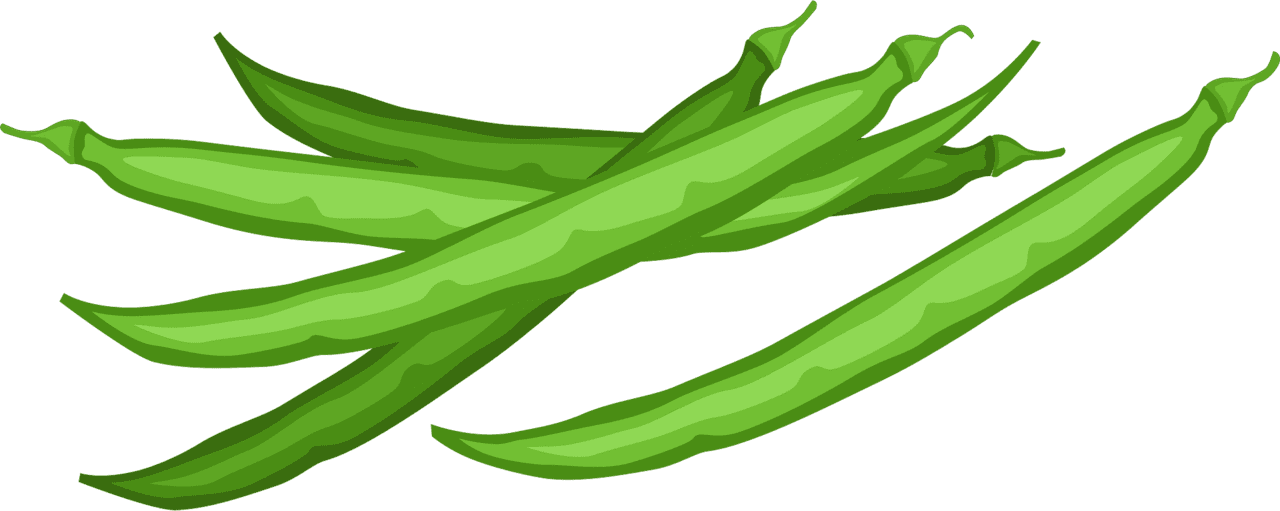 Green beans vector clipart images