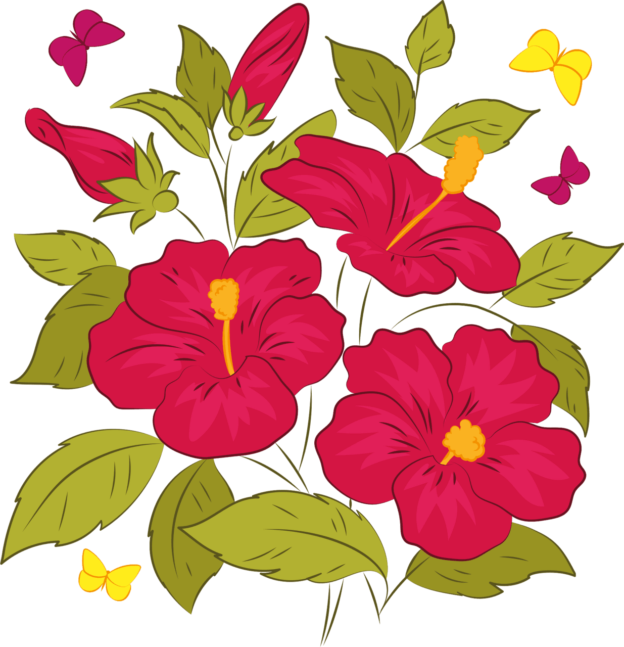 Hawaiian hibiscus vector clipart images