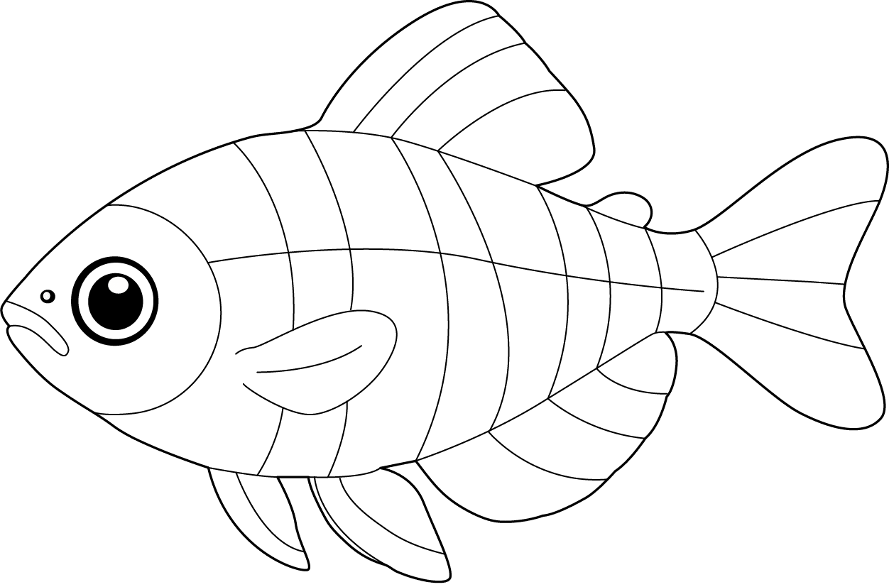 Black white fish neon tetra colouring page book for children monkey pen store clipart clip art