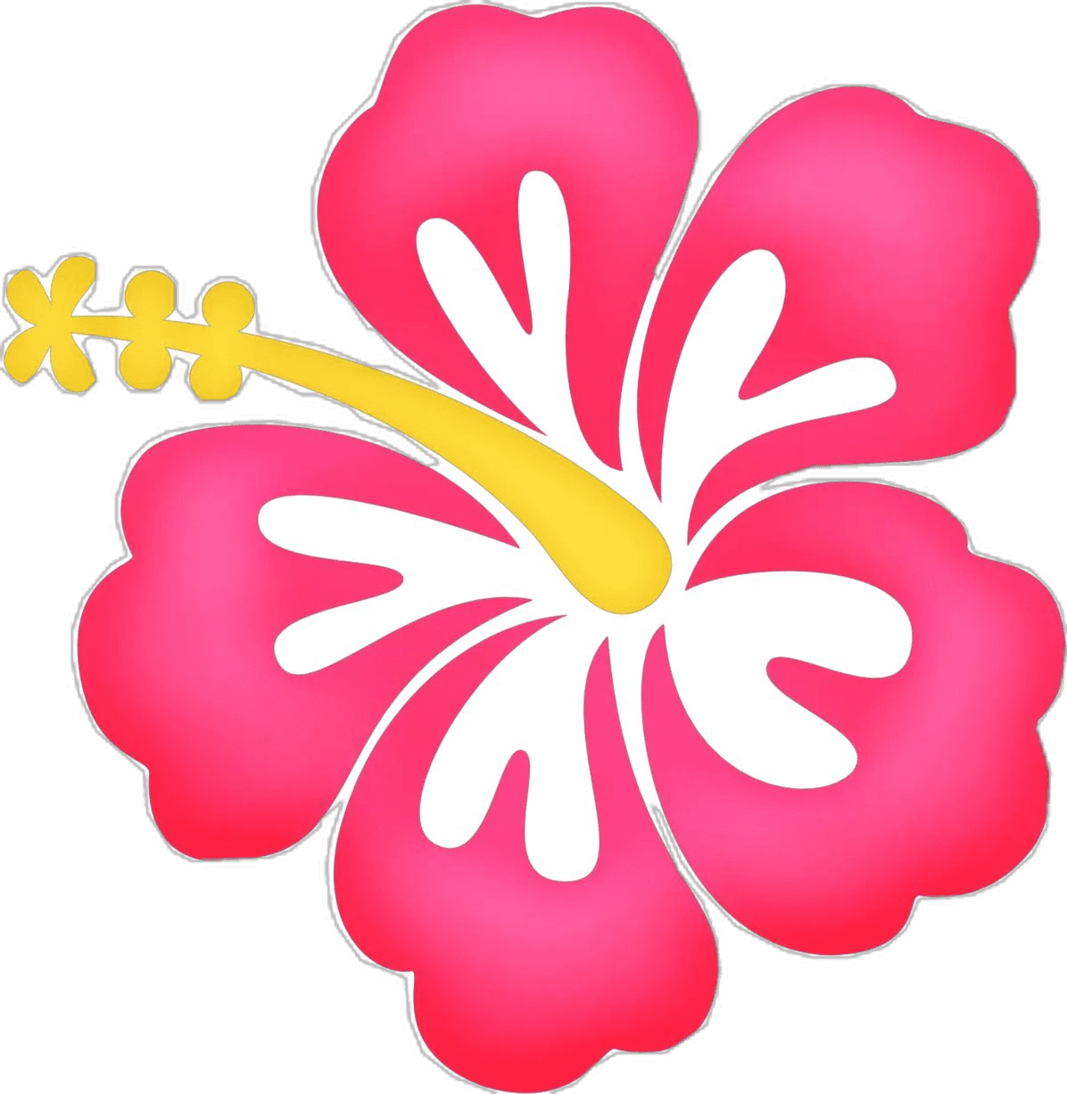Hibiscus page clipart photo
