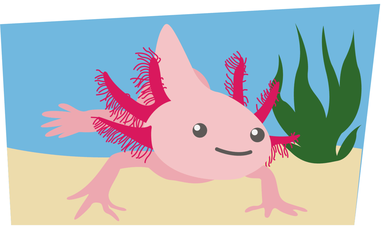 Biaza edcon evaluation axolotl clipart background