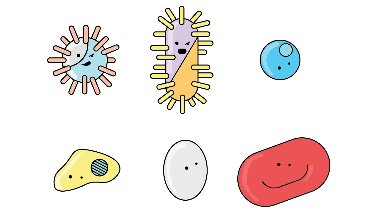 Cartoon bacteria hd green clipart image