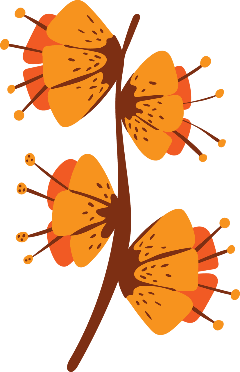 Flower outline flowers hand drawn clipart clip art