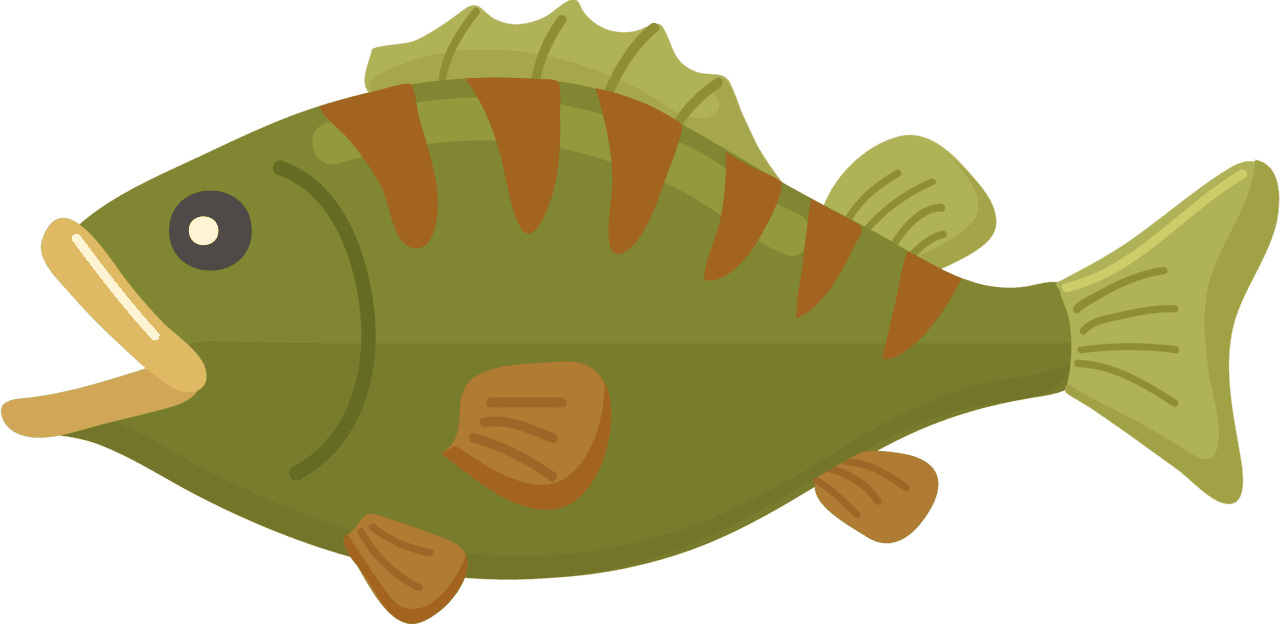Bass fish vector clipart images 2