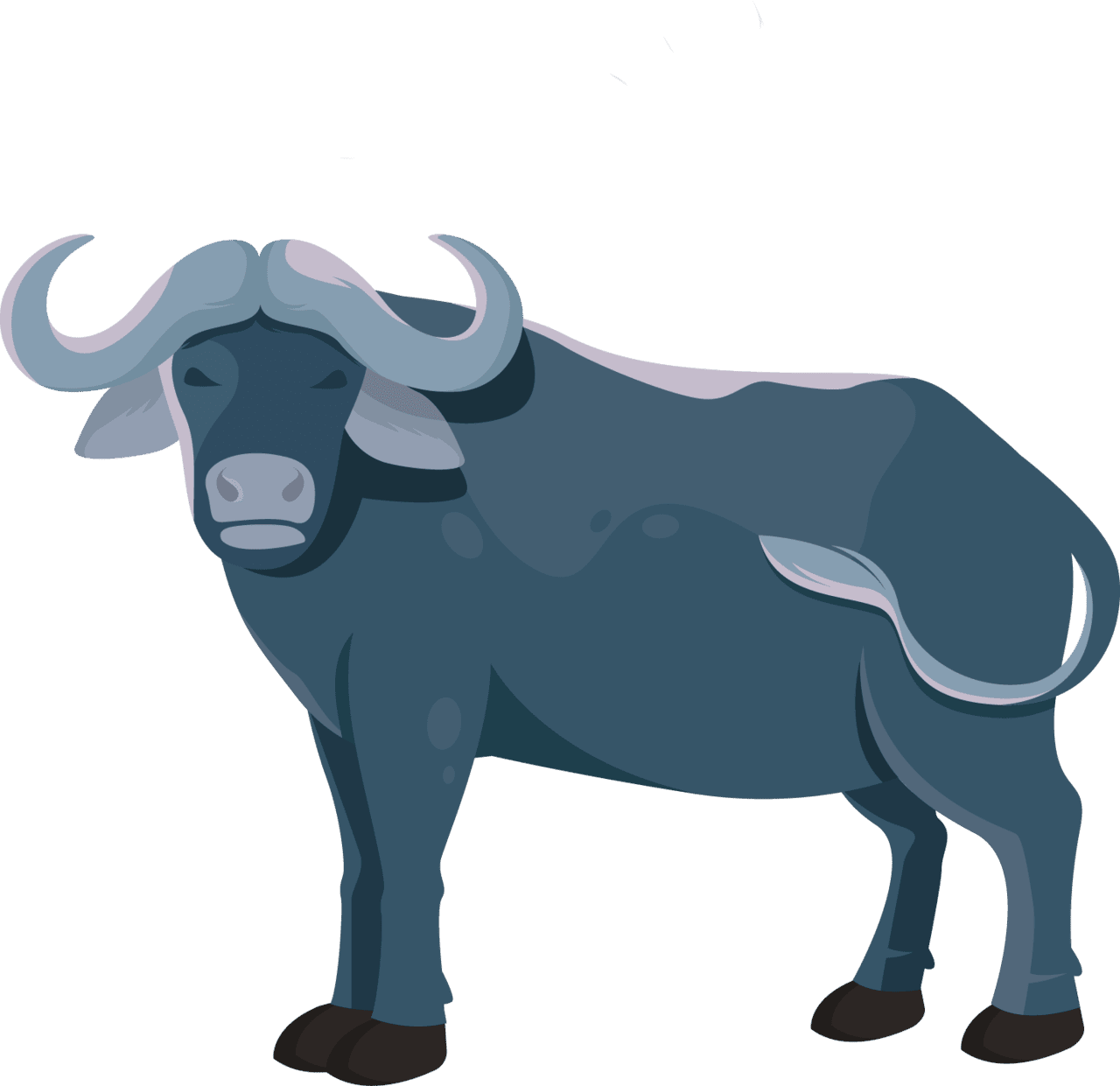 Buffalo pair the following food items to their sources clipart free