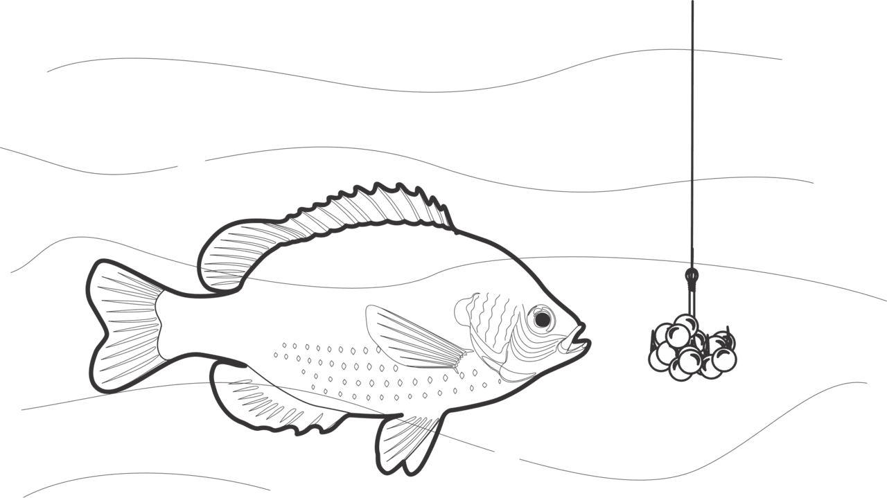 Black white fish beaded bait clipart free