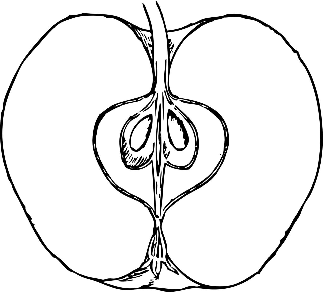 Apple black and white half clipart photo