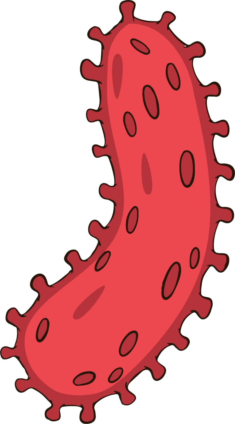 Bacteria mini virus red color vector images clipart