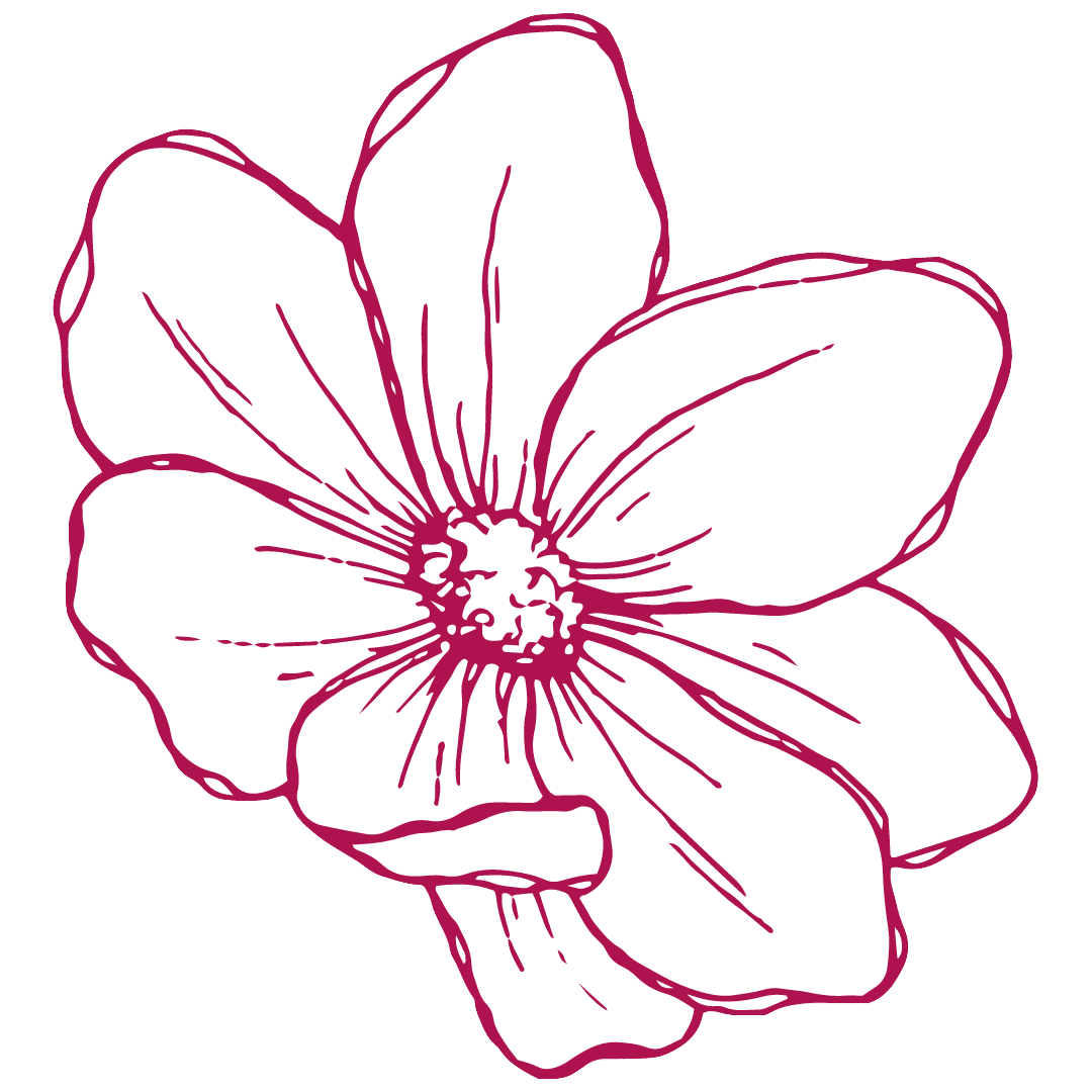 Flower outline page clipart free