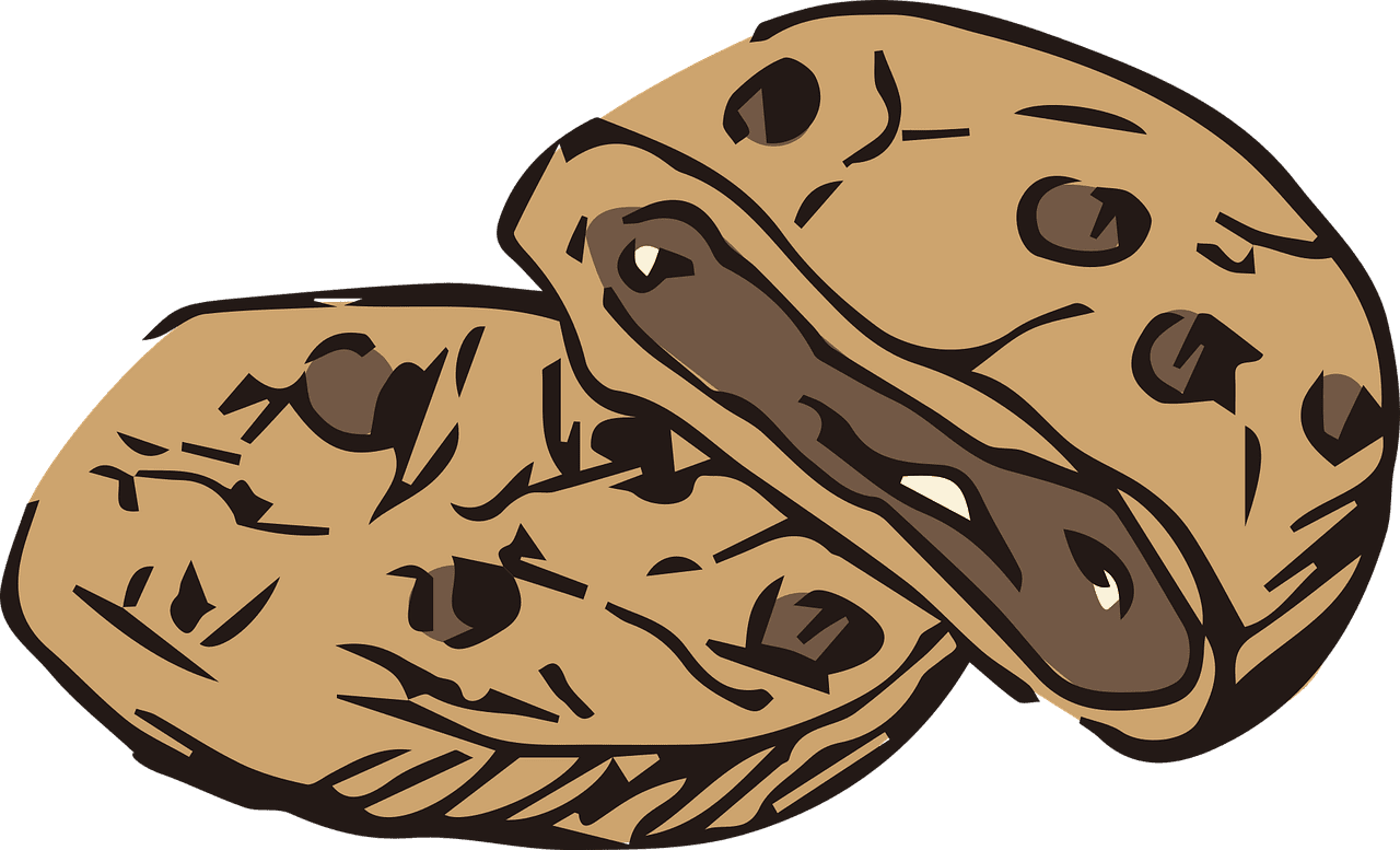 Cookies chocolate chip cookie dessert vector graphic clipart