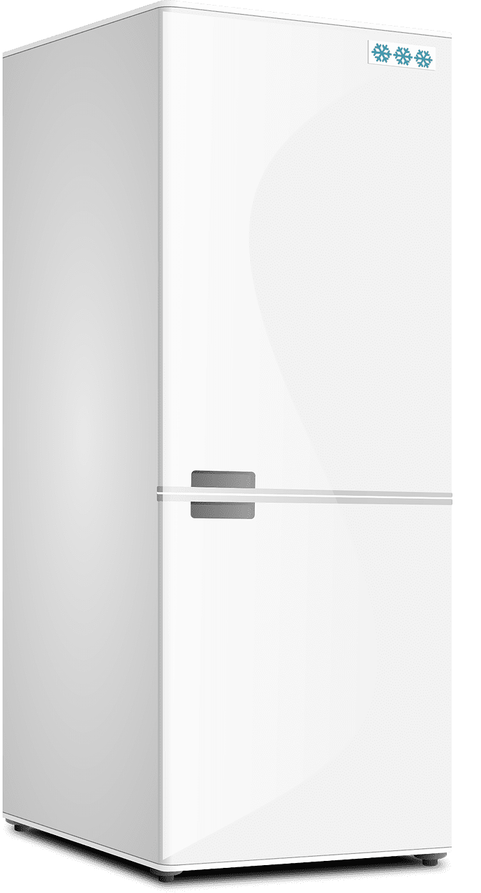 Fridge kitchen refrigerator vector graphic clipart