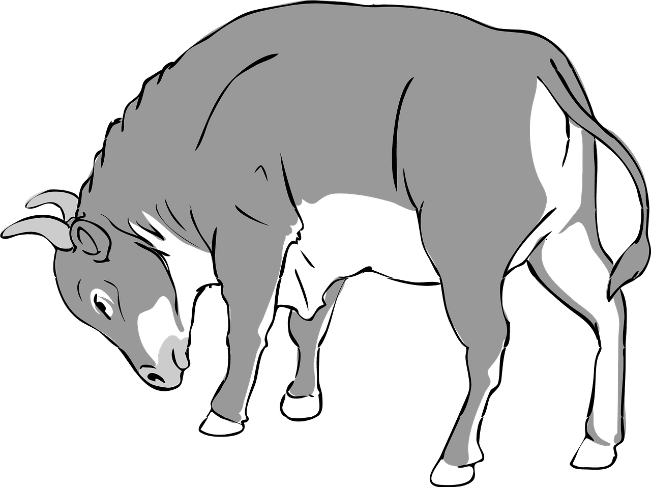 Bull vector clipart images 10