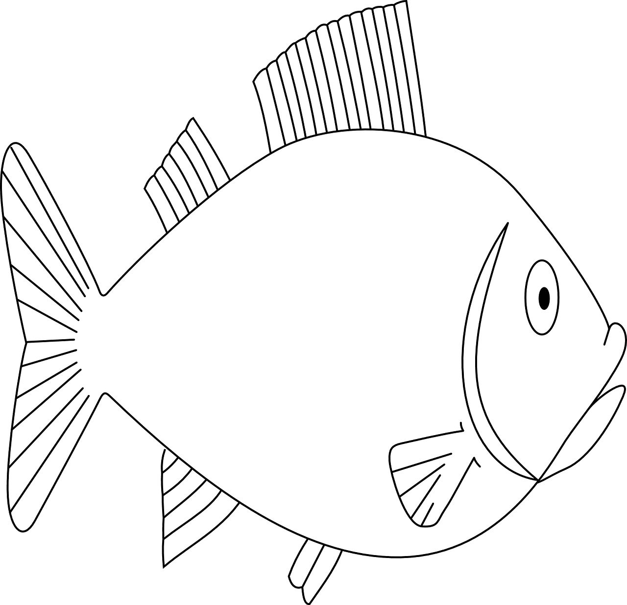 Black white fish animal nature vector graphic clipart