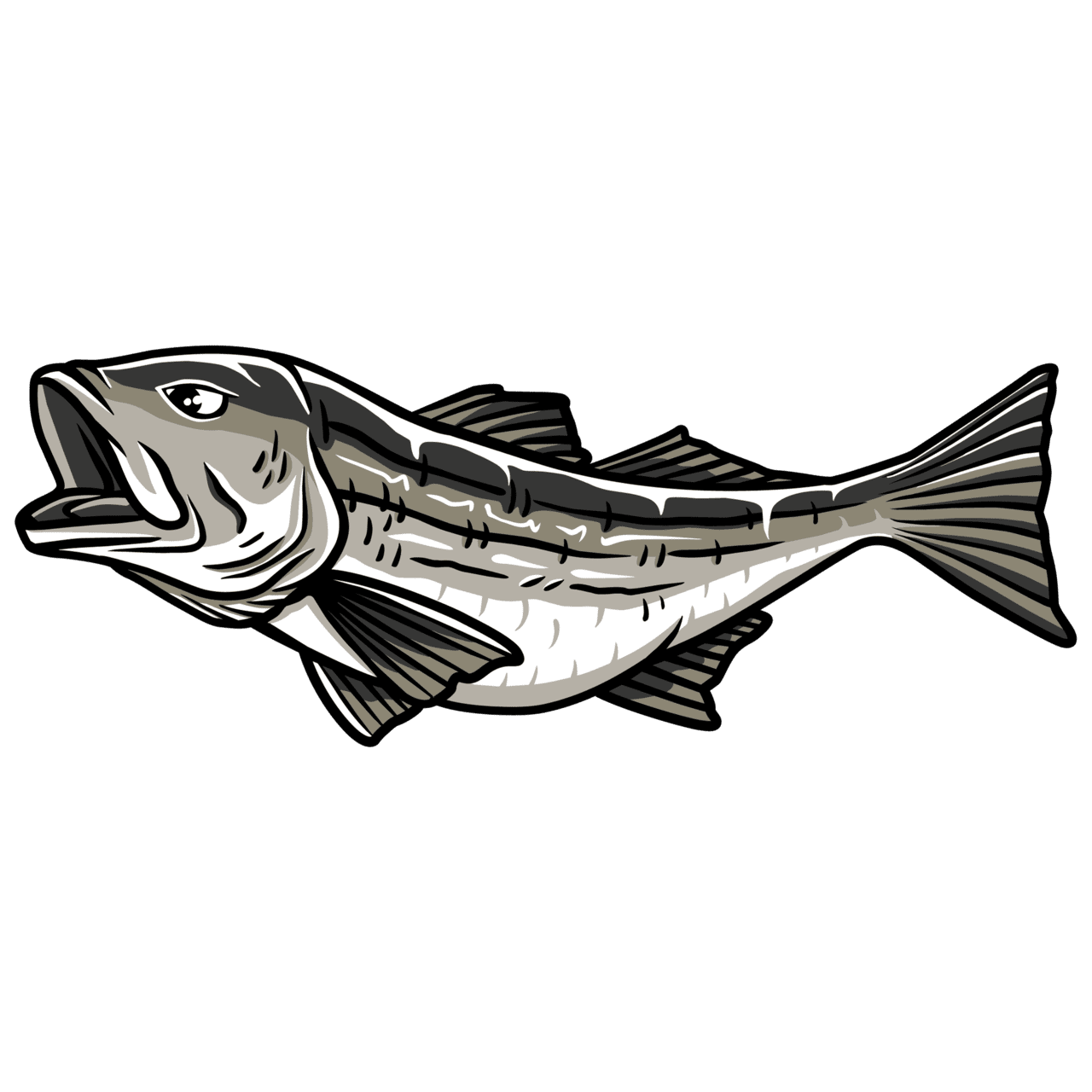 Striped bass performance cap american saltwater guides association clipart logo