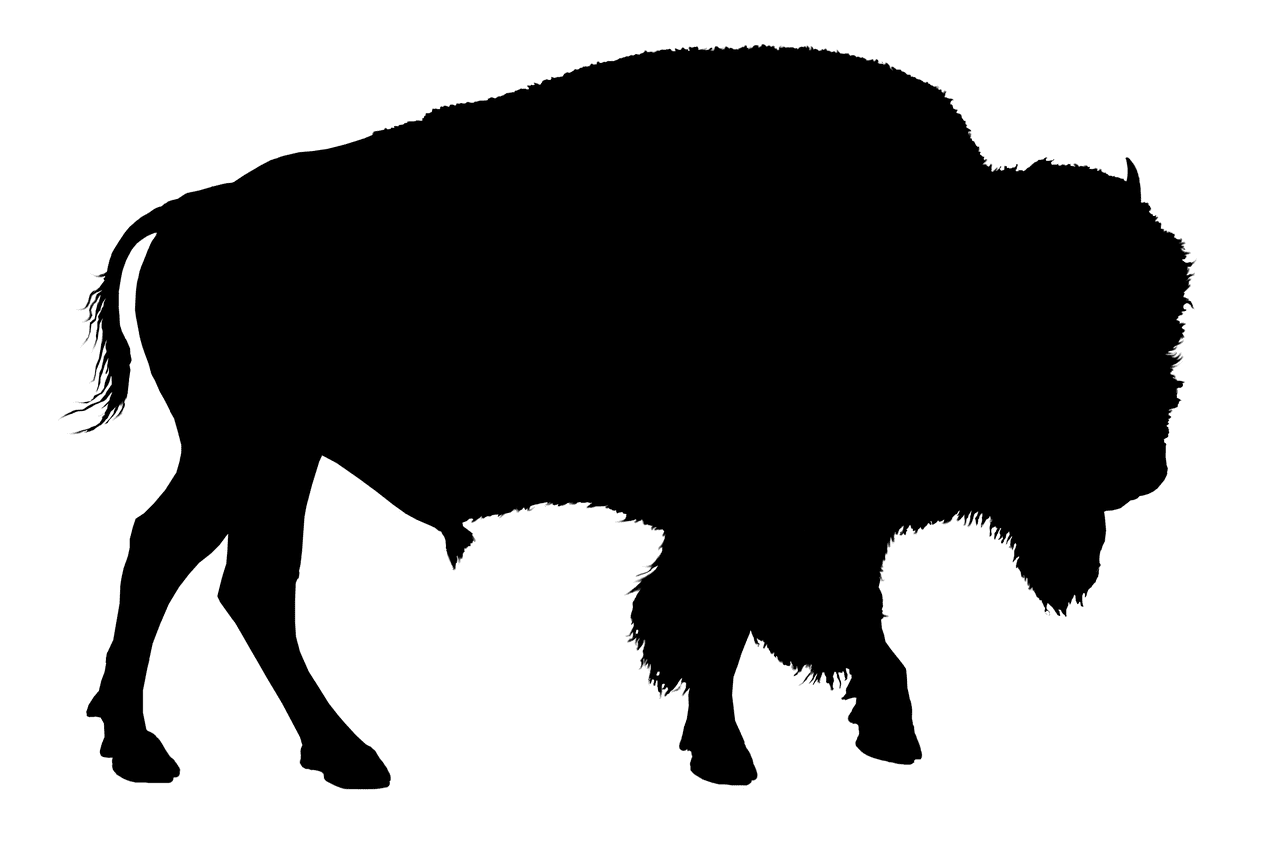 Bison silhouette buffalo image clipart