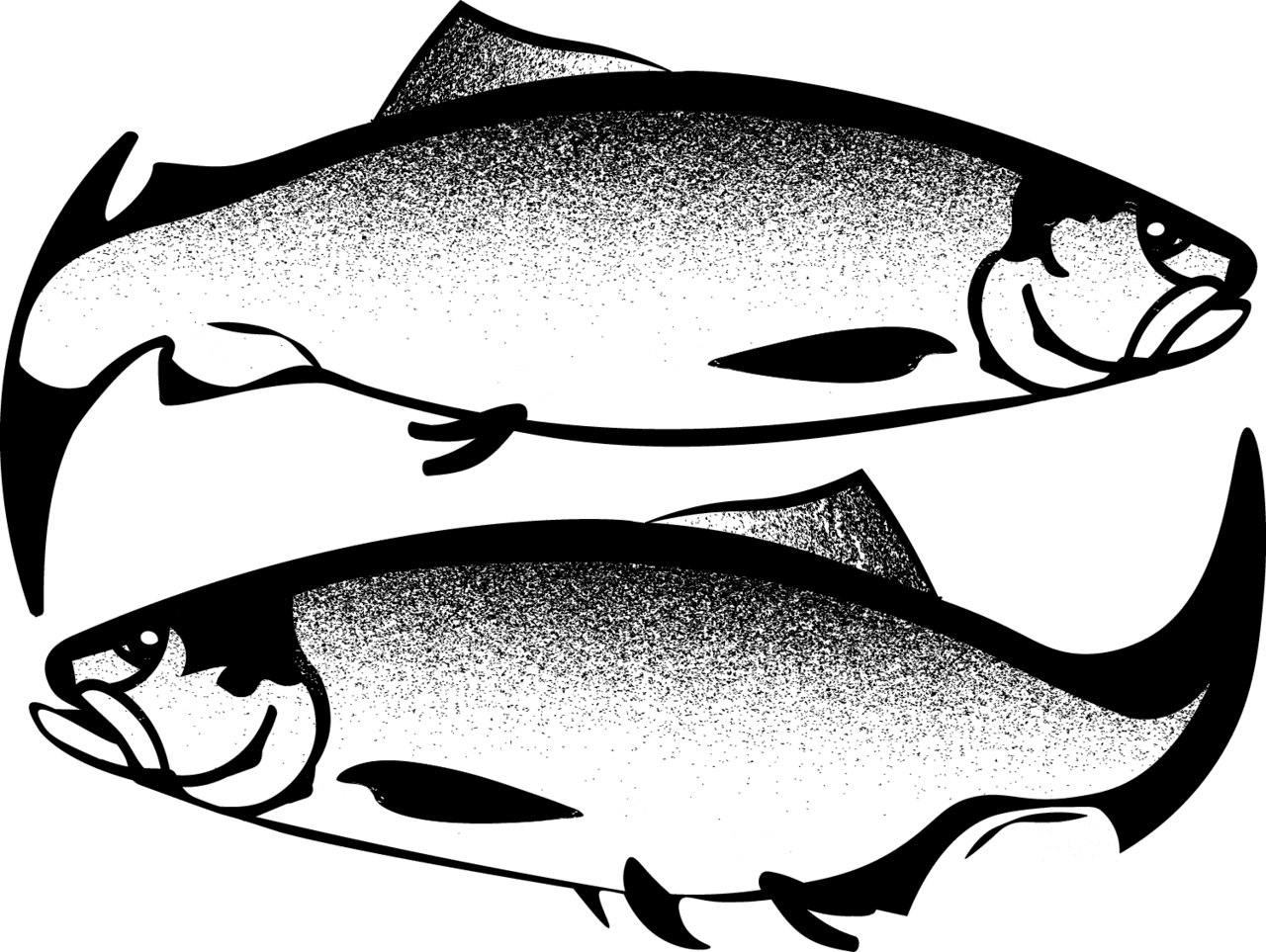 Black white fish whidbey seafoods acquires seabolt smokehouse new era of sustainable seafood island pany clipart background