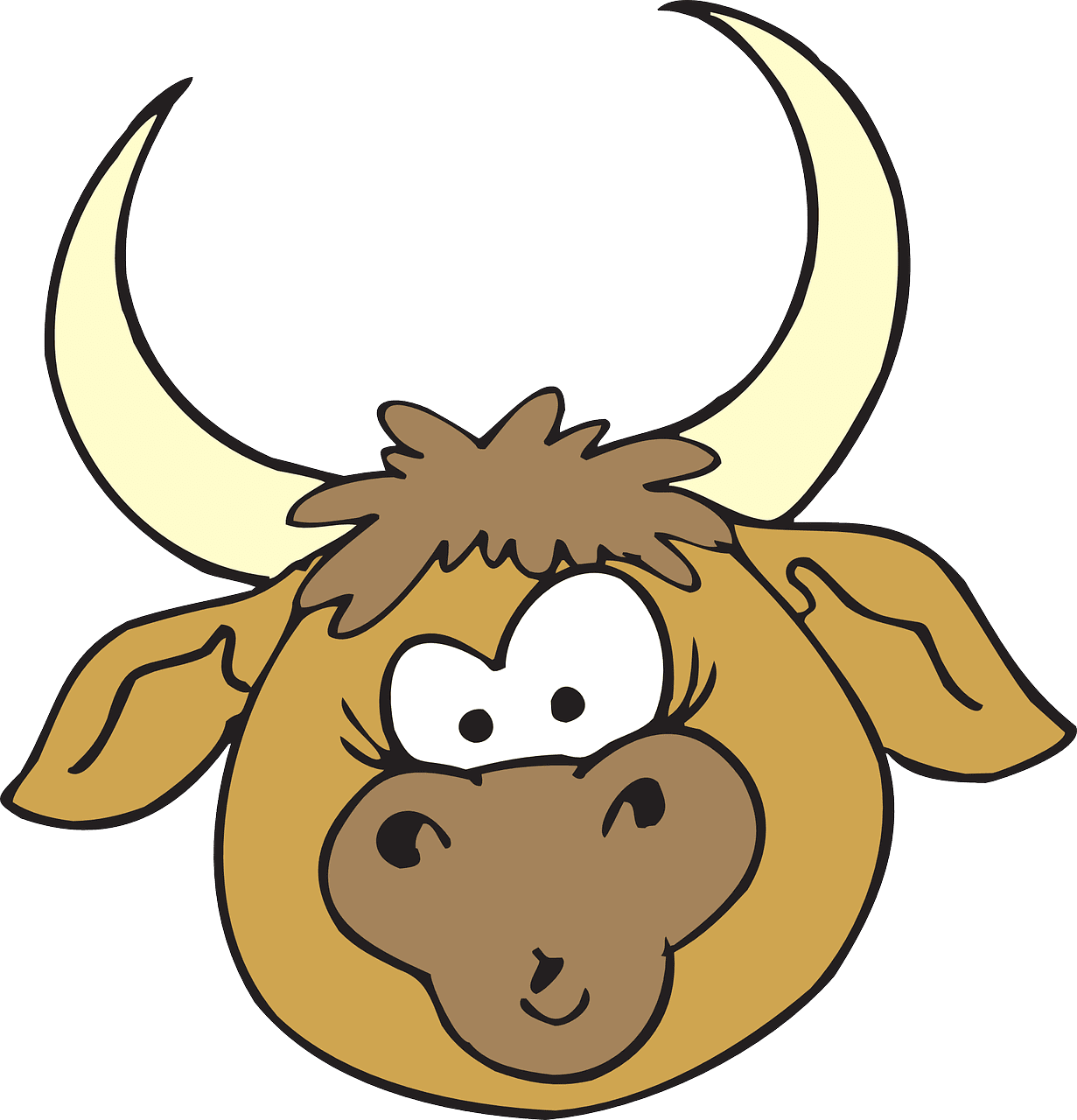 Explore bull now clipart background