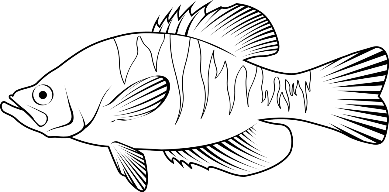 Black white fish and clipart images