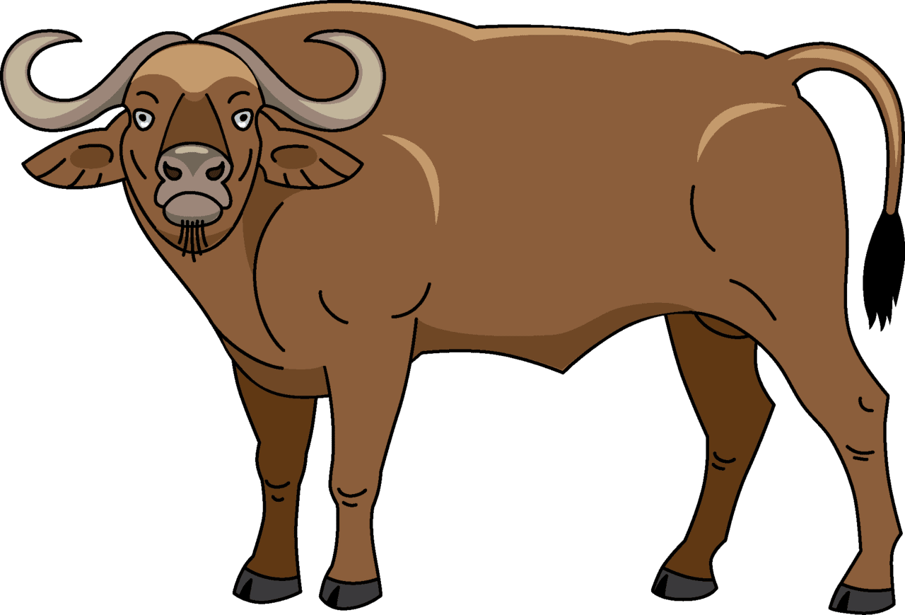 Buffalo vector clipart images 6