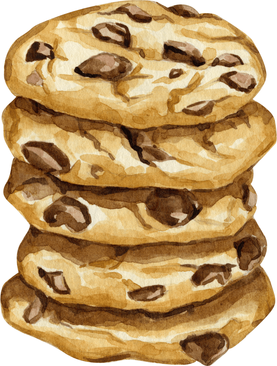 Chocolate chip cookie pack of cookies clipart image