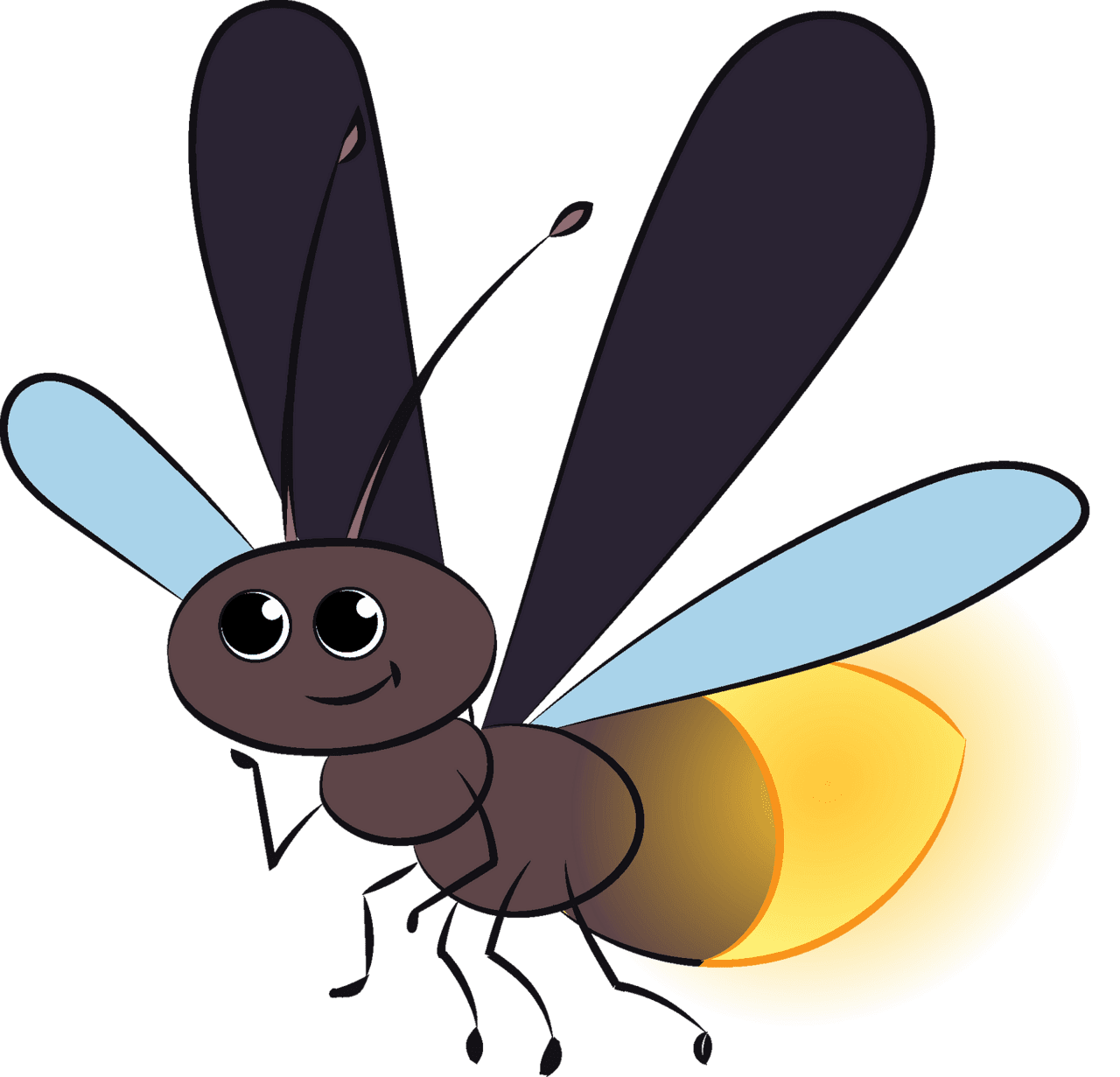 Firefly vector clipart images