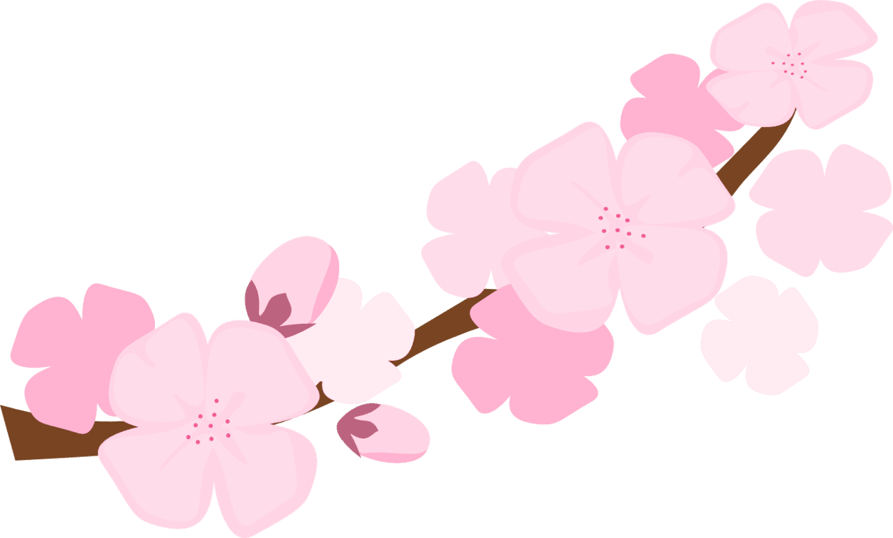 Cherry flower best blossom clipart background